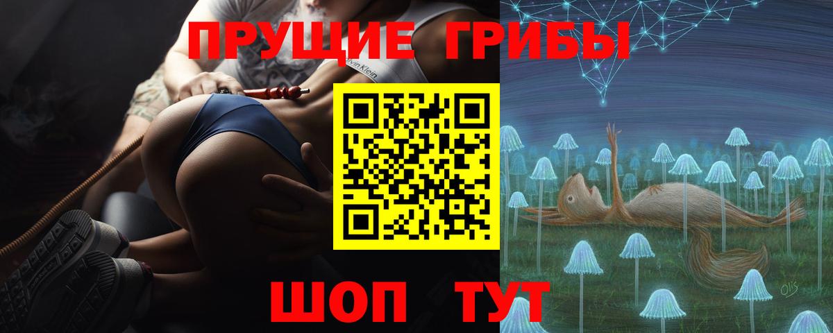 Псилоцибиновые грибы мицелий Апшеронск