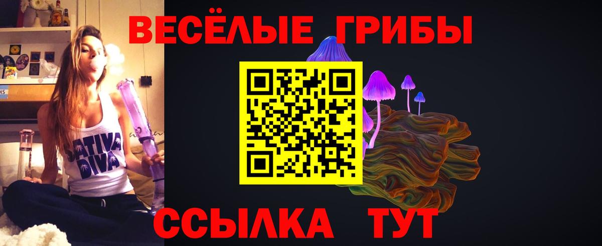 купить наркотик  Вход с VPN  Апшеронск  Галлюциногенные грибы прущие грибы 